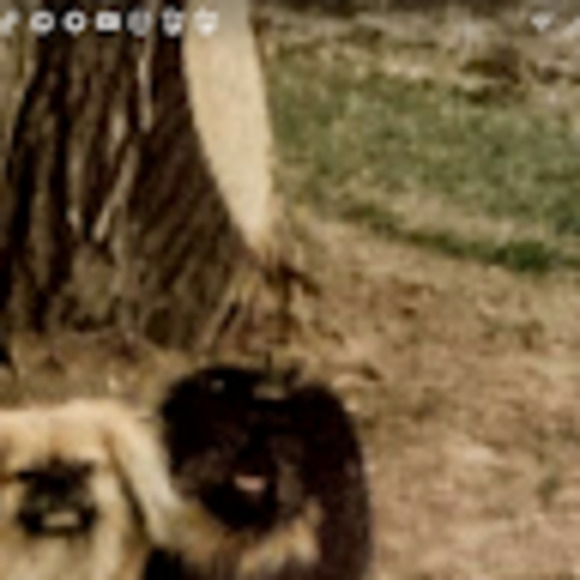 Meet your Posher, Karen - Picture 1 of 1